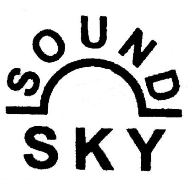 SKY SOUND HORN SPEAKER NSH-4040M 40W سماعة خارجية 